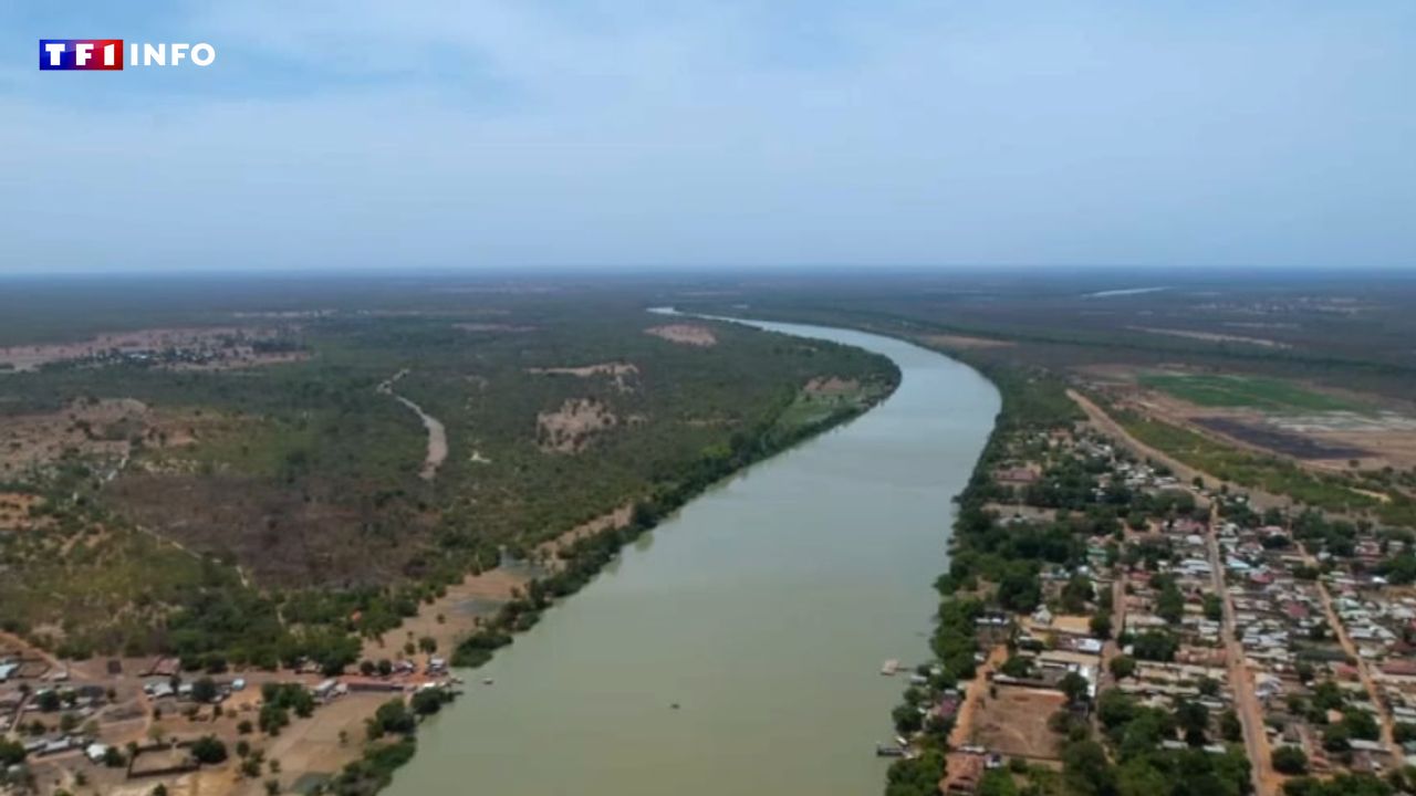 REPORTAGE – Une immersion dans une nature sauvage, au rythme du fleuve Gambie