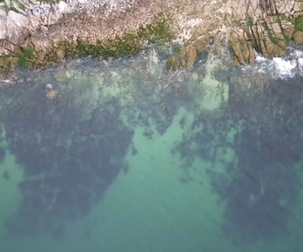 VIDÉO – Galice : entre terre et mer, un air de Bretagne en Espagne