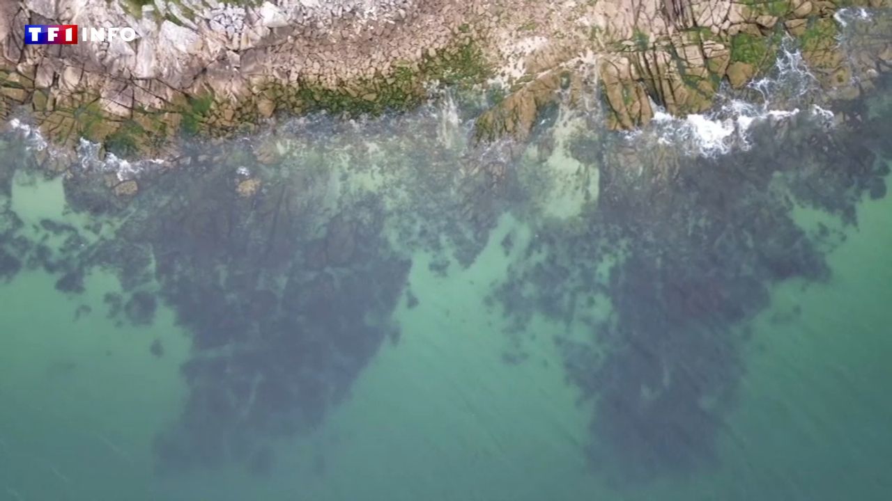 VIDÉO – Galice : entre terre et mer, un air de Bretagne en Espagne