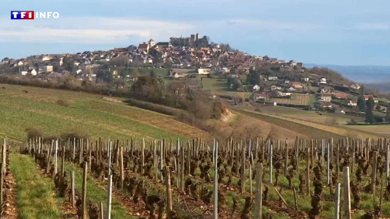 VOYAGE – Du vin, du fromage et un grand bol d’air : pourquoi ne pas partir en week-finish à Sancerre ?