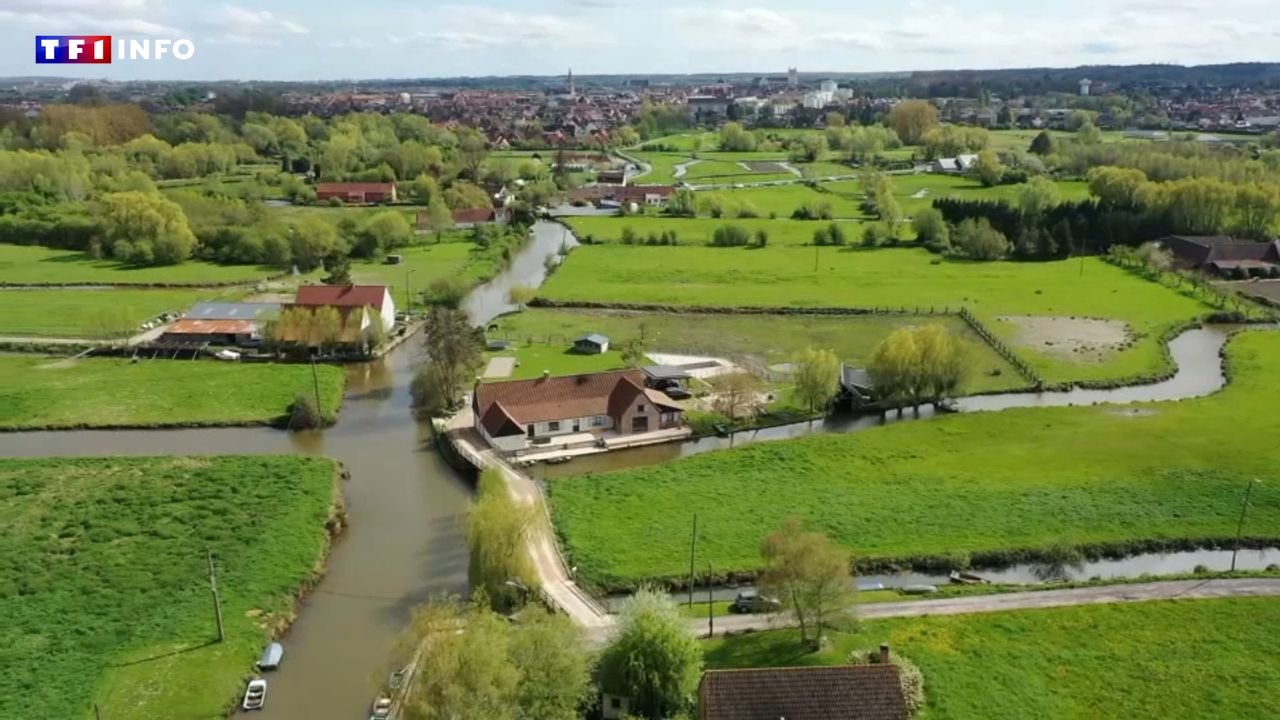 VIDEO – Pas-de-Calais : à la découverte du marais Audomarois, une vie sur l’eau