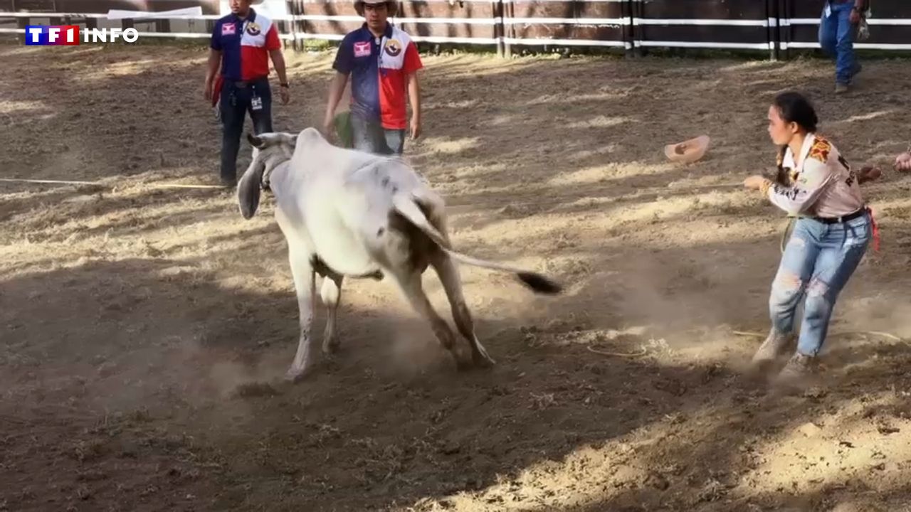 VIDÉO – Voyage à Masbate, capitale des cow-boys… aux Philippines