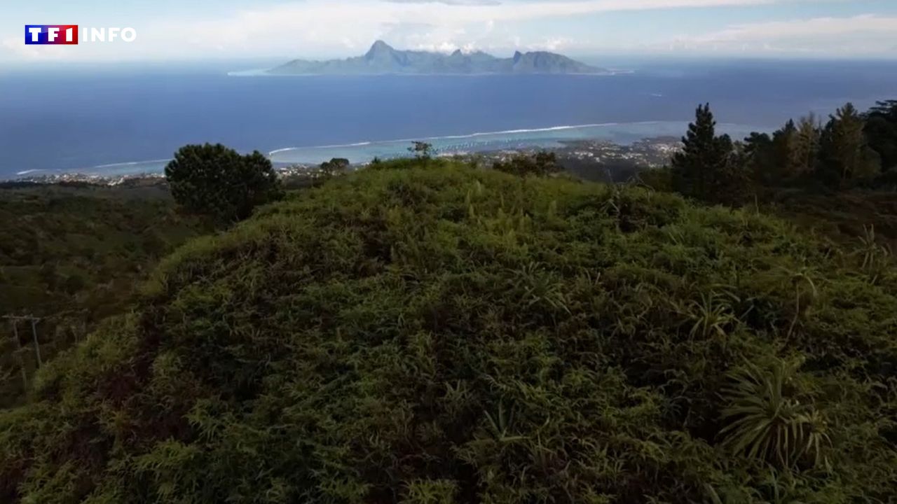 REPORTAGE – La montagne, l’autre perle de Tahiti