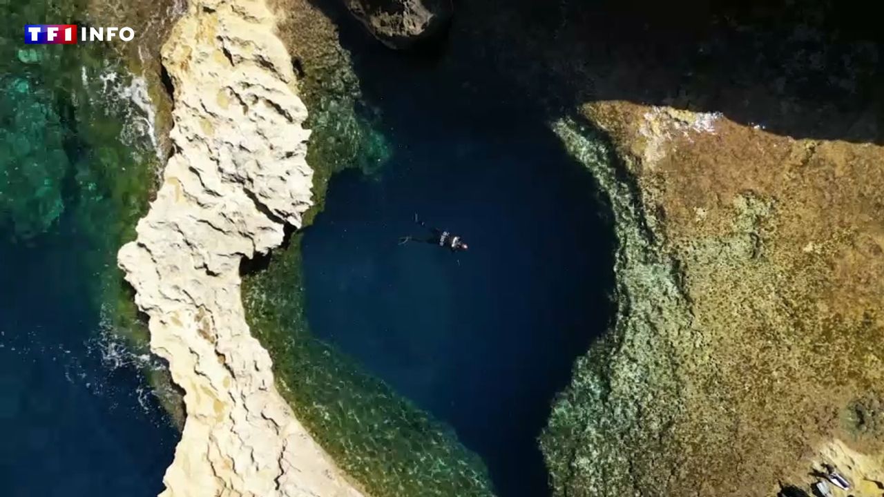 REPORTAGE – Malte : une plongée unique dans le grand bleu