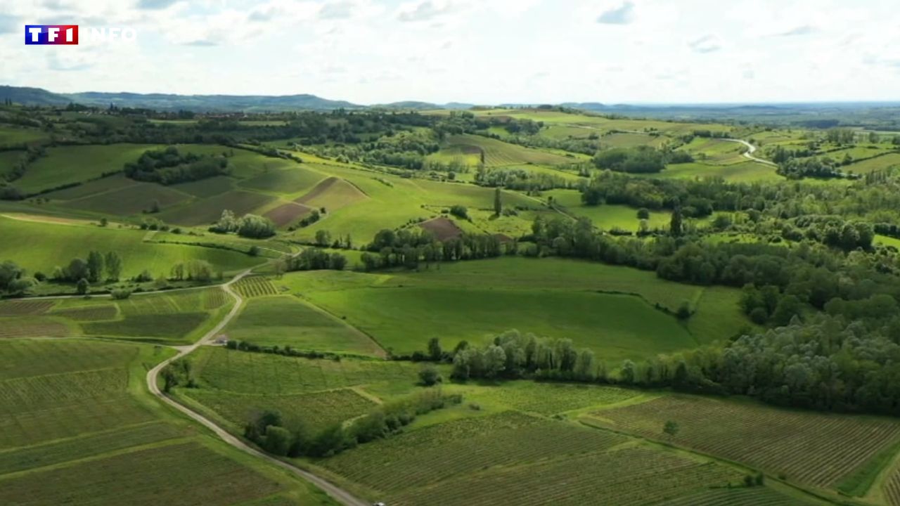 VOYAGE – Week-finish en Arbois, la terre enivrante du plus petit vignoble de France