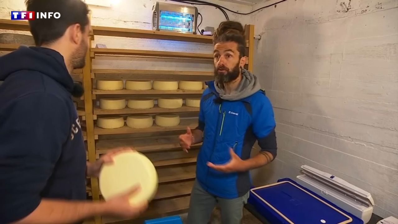 « C’est la cave idéale » : ils affinent leurs fromages dans un blockhaus de la Seconde Guerre mondiale