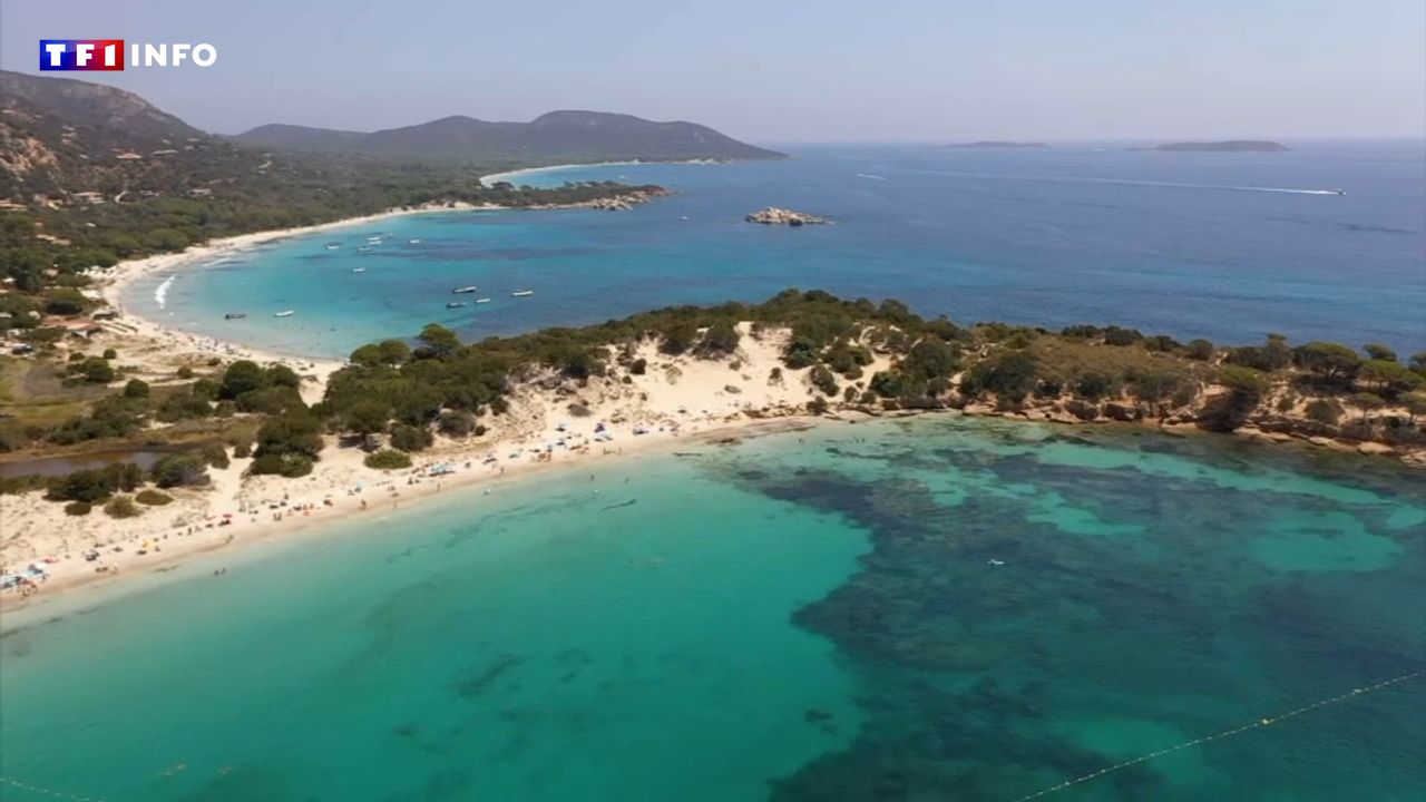 Des îles Lavezzi aux falaises de Bonifacio : la Corse du sud, un joyau à protéger