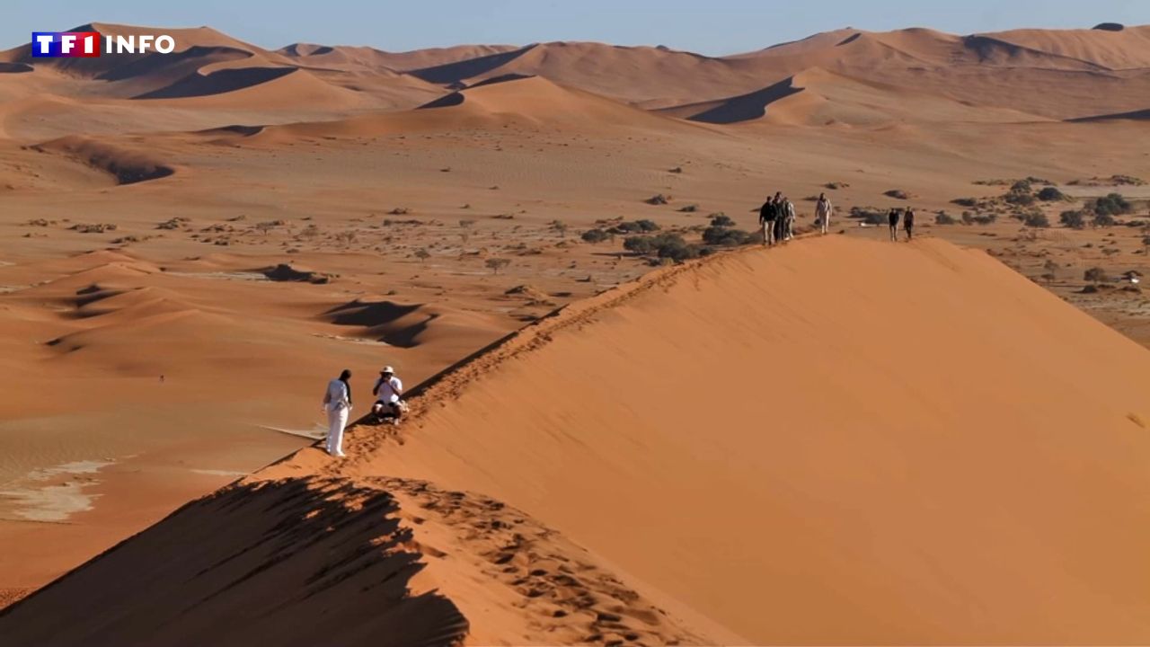 VIDÉO – « J’ai vu plein de belles choses dans ma vie, mais ça, c’est magnifique » : à la découverte du désert de Namib