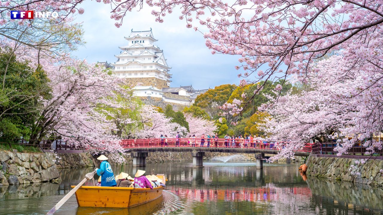 Voyager au Japon : quatre erreurs à ne surtout pas commettre lors de votre séjour