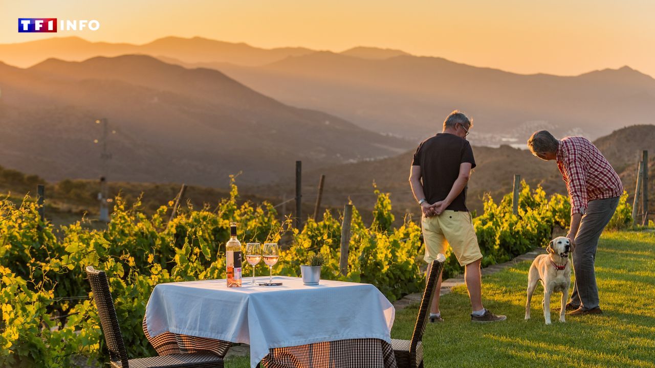 La Costa Brava et Pyrénées de Gérone : une destination « pet friendly » pour partir avec son chien !