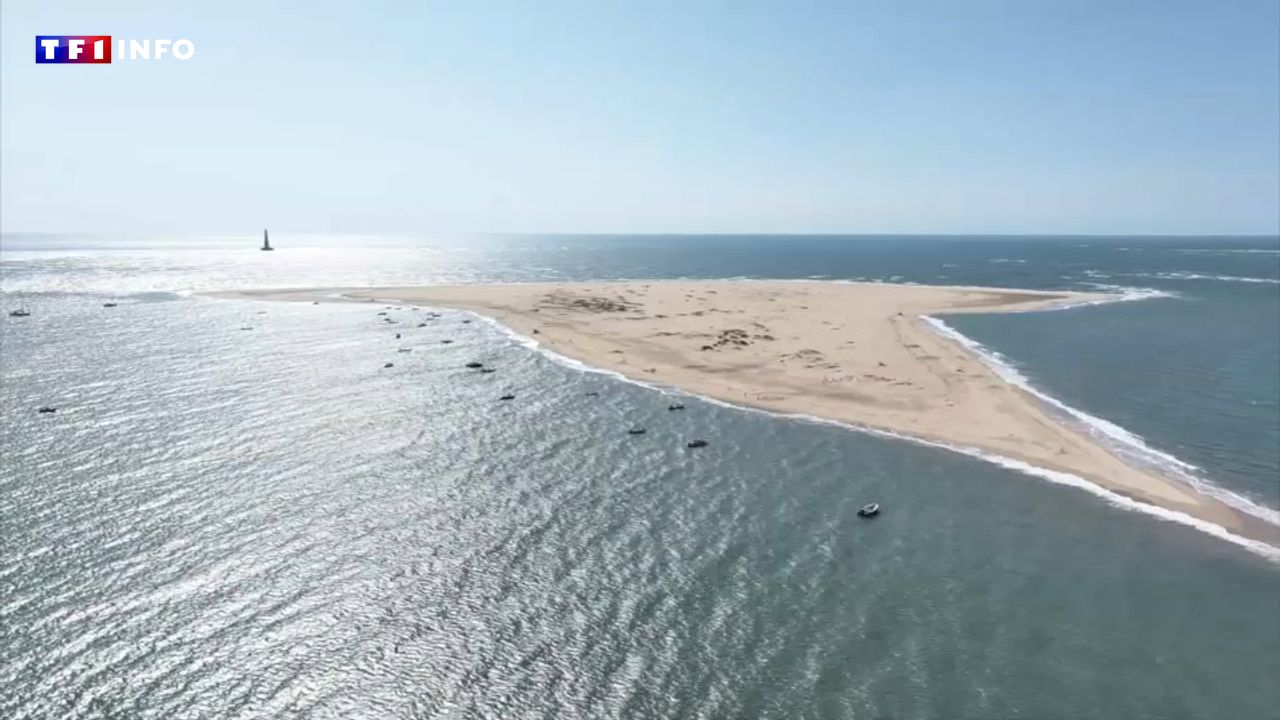« L’île sans nom » : ce petit paradis n’existait pas il y a 15 ans dans l’estuaire de la Gironde