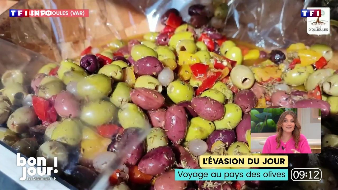 L’évasion du jour : Voyage au pays des olives