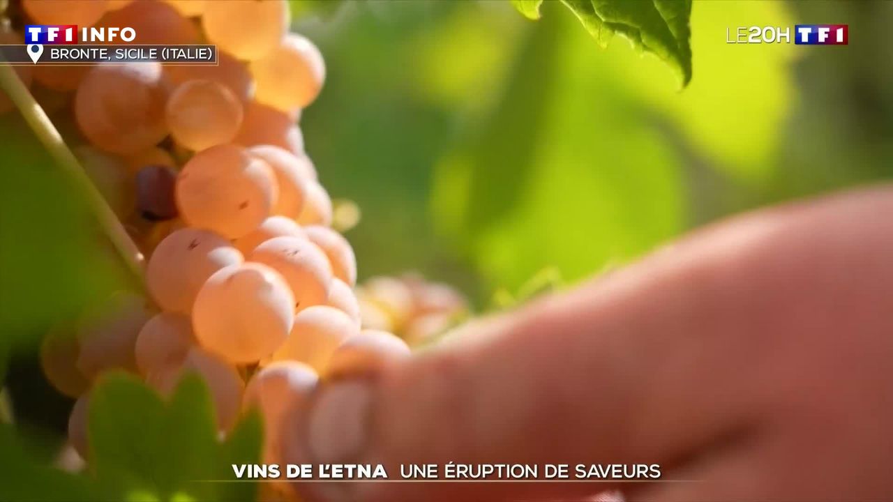 Vins de l’Etna : une éruption de saveurs