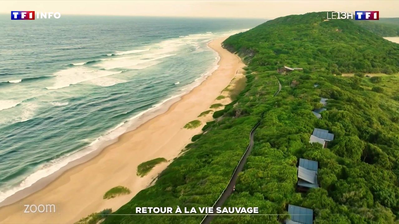 Zoom : retour à la vie sauvage