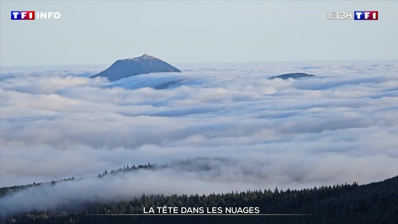 La tête dans les nuages