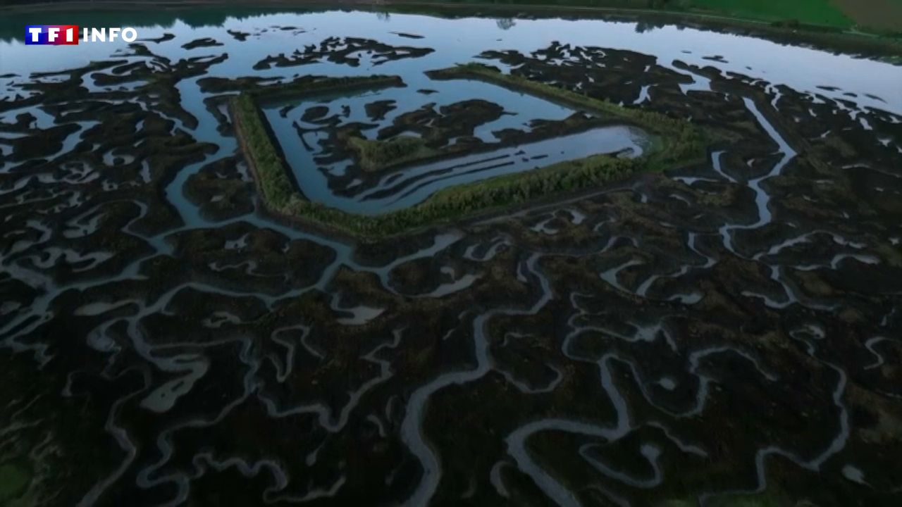 Un camp de Vikings dans la Rance ? Ces formes mystérieuses nourrissent les légendes bretonnes