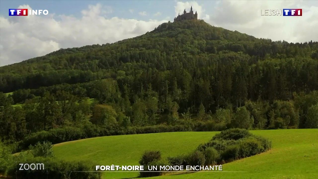 Zoom : Forêt-Noire, un monde enchanté