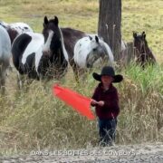 Dans les bottes des cowboys