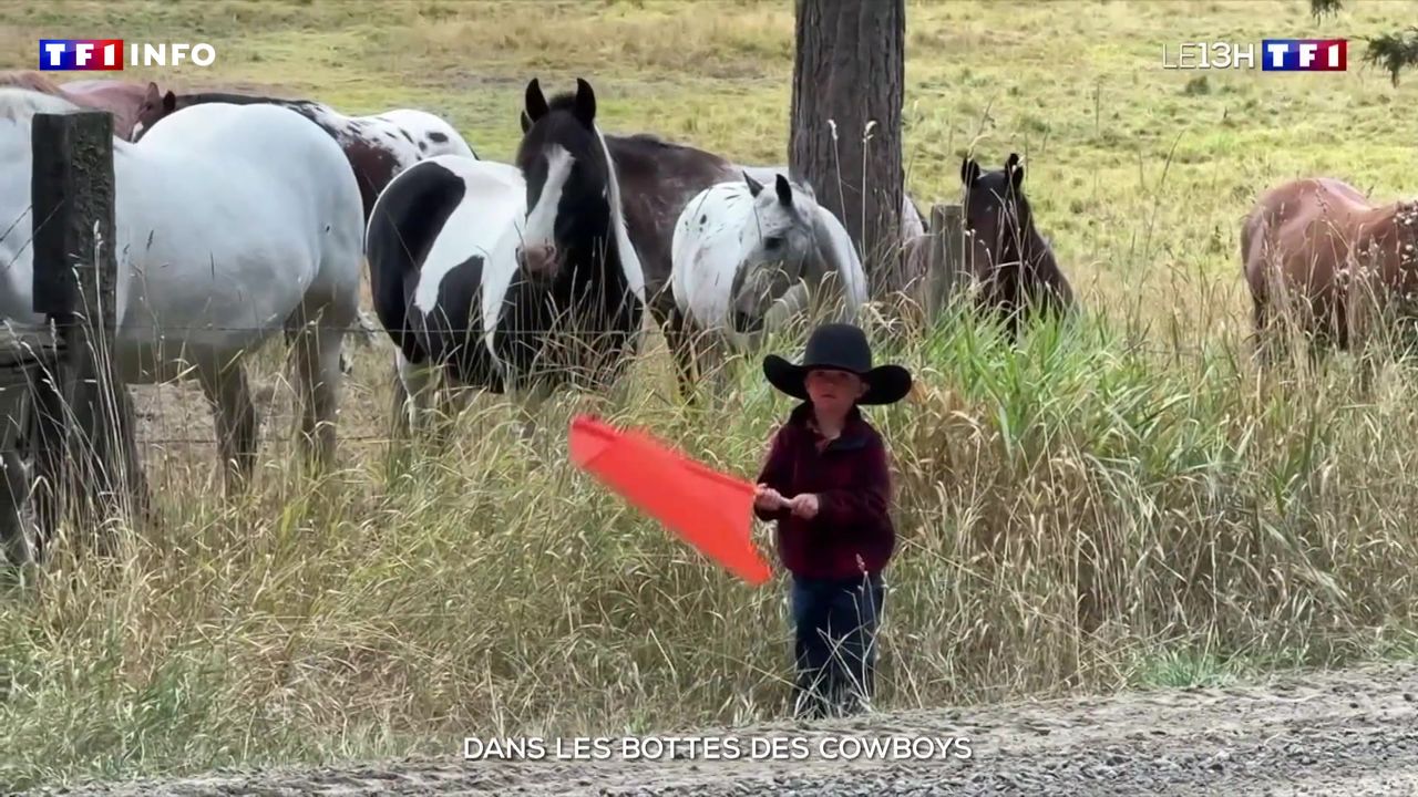 Dans les bottes des cowboys