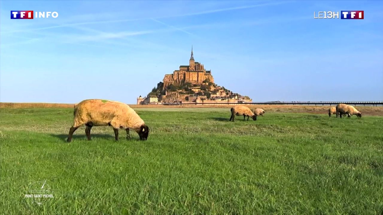 Week-end au Mont-Saint-Michel : une bouffée d’air frais