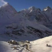 Des rencontres haut perchées dans les Alpes