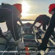 Zoom : Saint-Laurent, un fleuve pris par les glaces