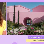 3 jours avec Julie : les roses en fête