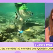 Côte Vermeille, la merveille des Pyrénées-Orientales