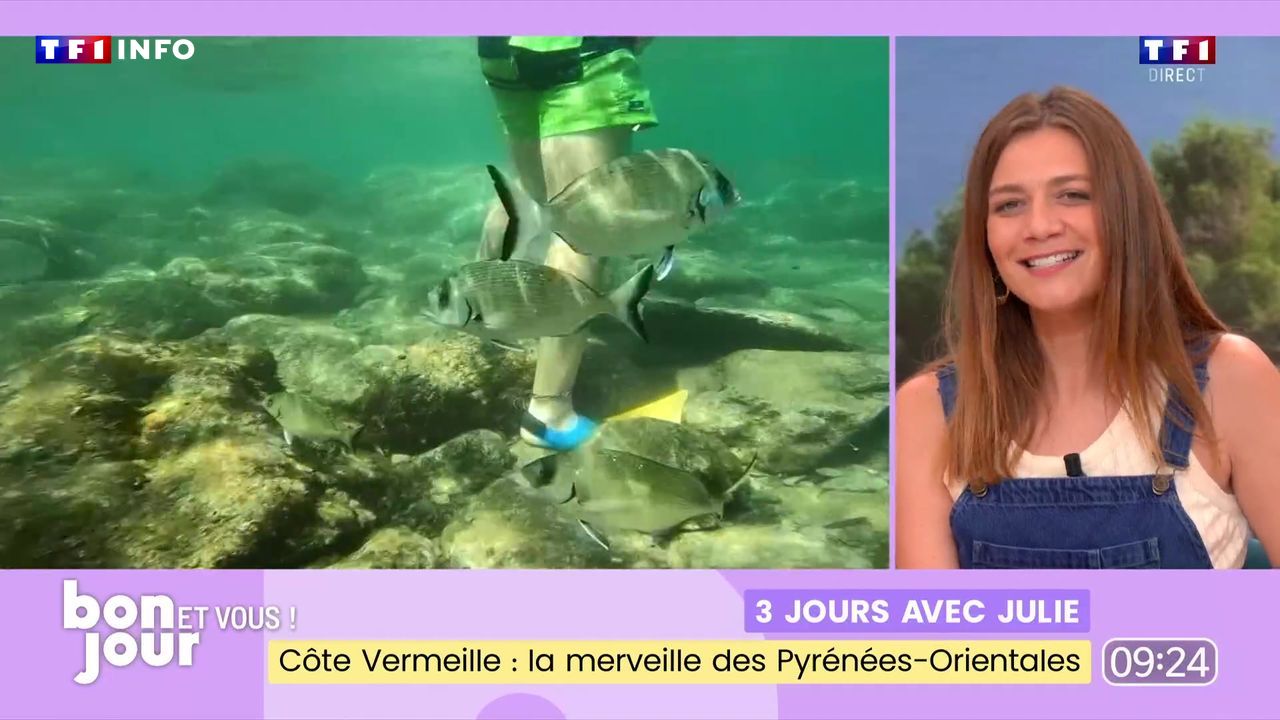 Côte Vermeille, la merveille des Pyrénées-Orientales