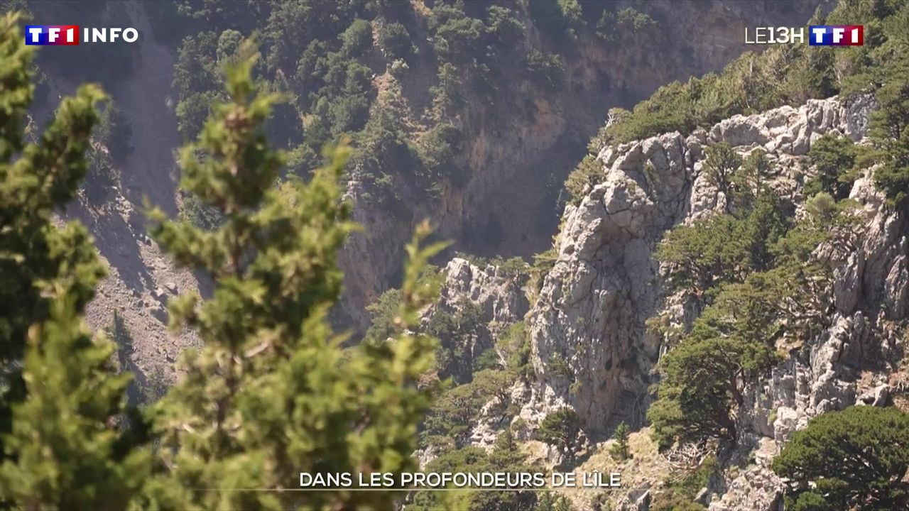 Dans les profondeurs de l’île