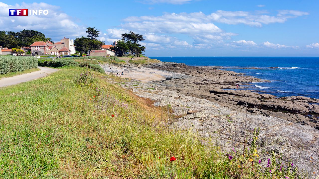 Voici l’époustouflant GR® qui vous permet de découvrir la Vendée à pied