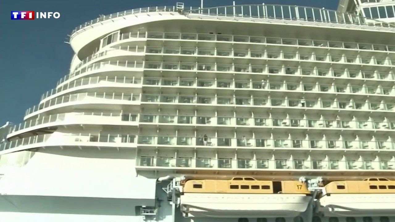 Croisière : il perd au on line casino… avant de sauter par-dessus bord !
