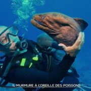 Il murmure à l'oreille des poissons