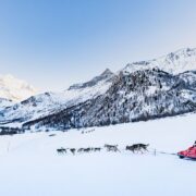 La Grande Odyssée Royal Canin 2026 : une deuxième étape dans l'authentique village de montagne La Chapelle d'Abondance