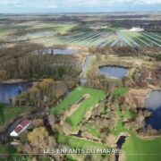 Les enfants du marais | TF1 Info