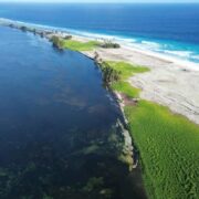 "On peut imaginer la stupeur des marins venus les sauver" : la terrible histoire des oubliés de l'île de Clipperton