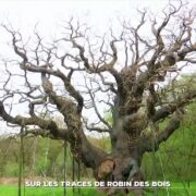 Zoom : sur les traces de Robin des Bois