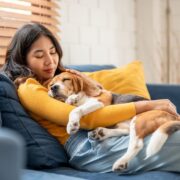 J’aimerais louer un appartement pour les vacances mais j’ai un chien : les propriétaires ont-ils le droit de me refuser la location ?
