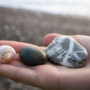 La collecte de certaines ressources est totalement interdite : ces objets que vous avez l'habitude de ramasser sur la plage peuvent vous valoir une forte amende