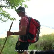 En vacances avec vous : dans la vie d'un berger