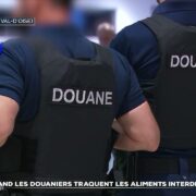 Quand les douaniers traquent les aliments interdits