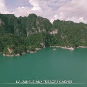 La jungle aux trésors cachés